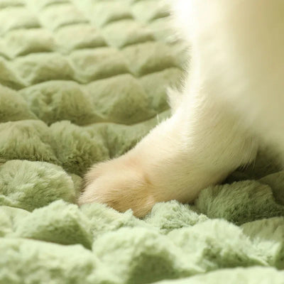 Cama Térmica para Perros Grandes - Colchoneta Desmontable y Lavable para Otoño e Invierno - Image 4