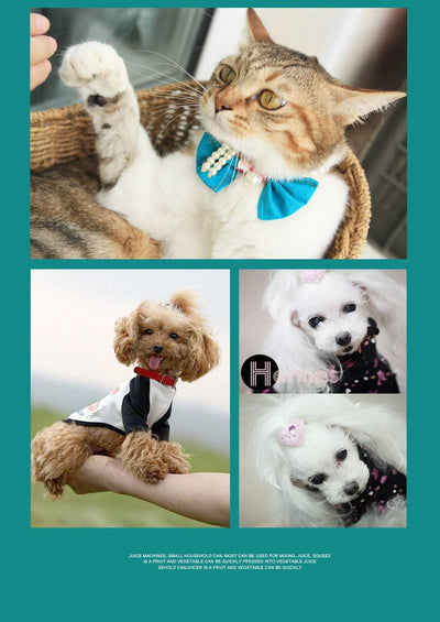 Cortadora Profesional de Alto Rendimiento para Perros y Gatos - Image 13