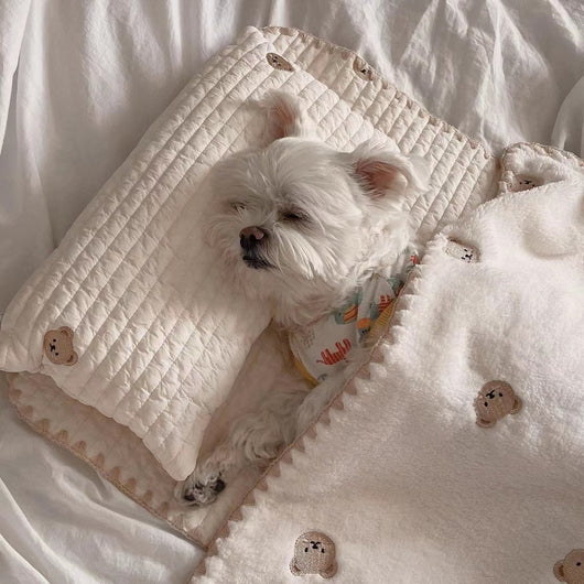 Cama Ortopédica para Perros con Funda Extraíble y Lavable - Image 10