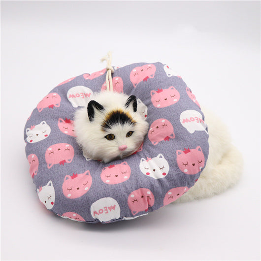 Collar Isabelino Suave para Gatos - Protección Anti-mordida, Lamido y Arañazo - Image 3