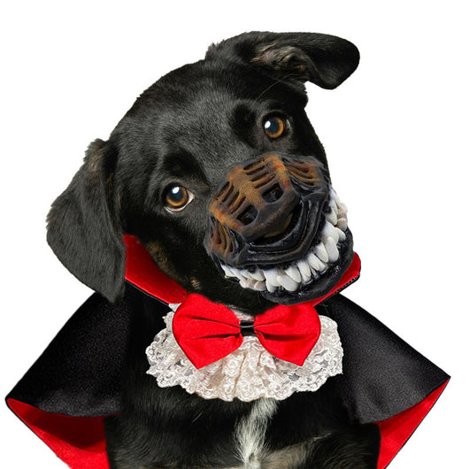 Disfraz de Halloween para Mascotas - Traje Teddy para Gatos y Perros - Image 8