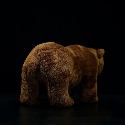 Peluche Oso Pardo Realista - Image 3