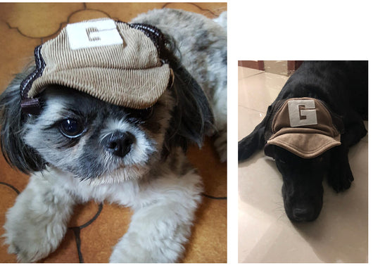Gorra Protectora Solar para Perros Transpirable - Image 4