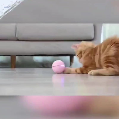 White electric interactive cat toy ball with LED light and feather attachment, shown with its white packaging box.