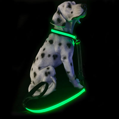 Correa Luminosa Recargable para Perros - Cuerda de Nylon Antiexplosión - Image 8