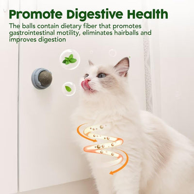 Juguetes de Catnip para Gatos - Set 4 Bolas Energéticas con Silvervine y Limpieza Dental - Image 8
