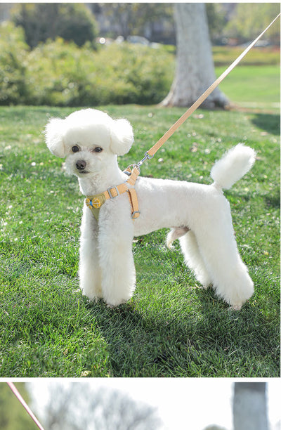 Chaleco Arnés de Cuerda para Perros Pequeños - Image 23