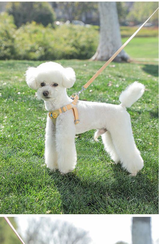 Chaleco Arnés de Cuerda para Perros Pequeños - Image 23