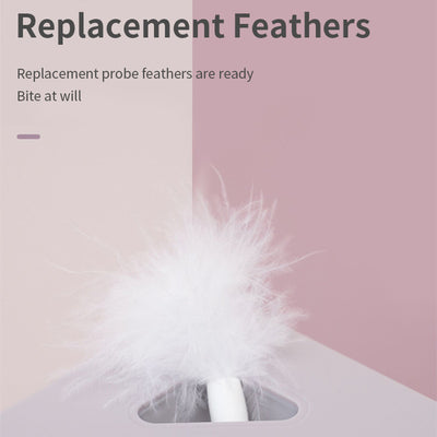 Juguete Interactivo Inteligente para Gatos con Cabezales Reemplazables y Plumas - Image 11