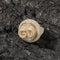 Rotatable DIY Letter Hip Hop Ring Micro Set Zircon Dorado 2letters 6