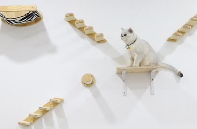 Centro de Juegos Felino Multinivelado de Madera de Pino con Hamaca y Cápsula - Image 13