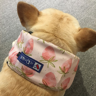 Pañuelo Refrescante para Perros - Bandana Enfriadora AntiCalor