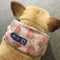 Pañuelo Refrescante para Perros - Bandana Enfriadora AntiCalor