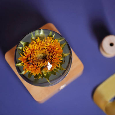 Luz Nocturna Girasol Flores Eternas - Regalo Navideño Decorativo - Image 4