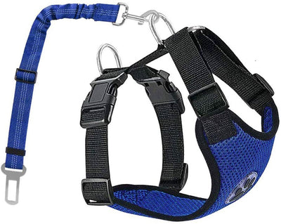 Cuerda Reflectante y Transpirable para Perros - Image 14