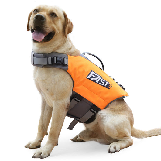 Chaleco Salvavidas para Perros con Diseño Reflectante - Image 10