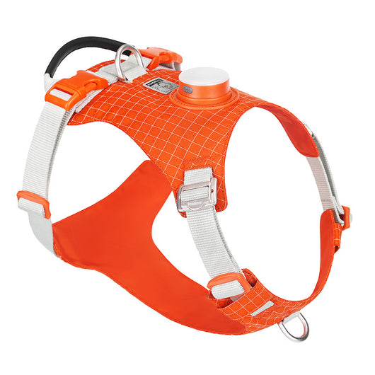 Arnés Pectoral para Perro con Luz LED Nocturna - Image 5