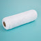 Blanco PP Plateado 10 Inches