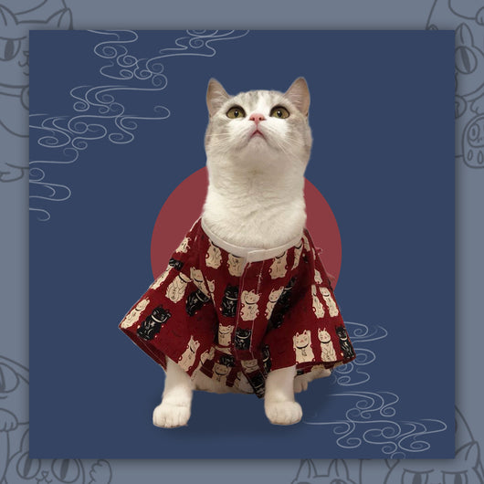 Kimono Japonés para Perros - Diseño Tradicional - Image 10