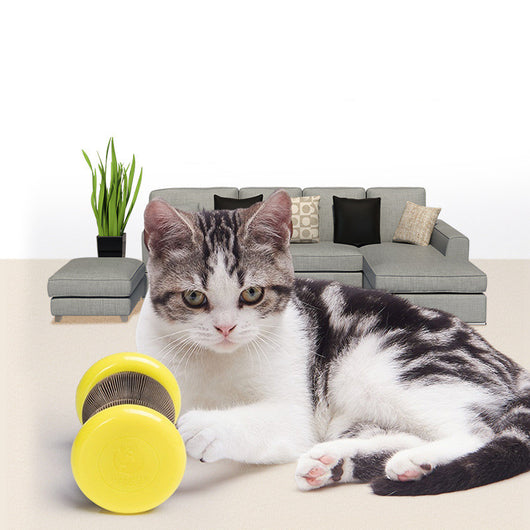 Órgano Mágico para Gatos - Rascador de Cartón Ondulado con Rueda Interactiva