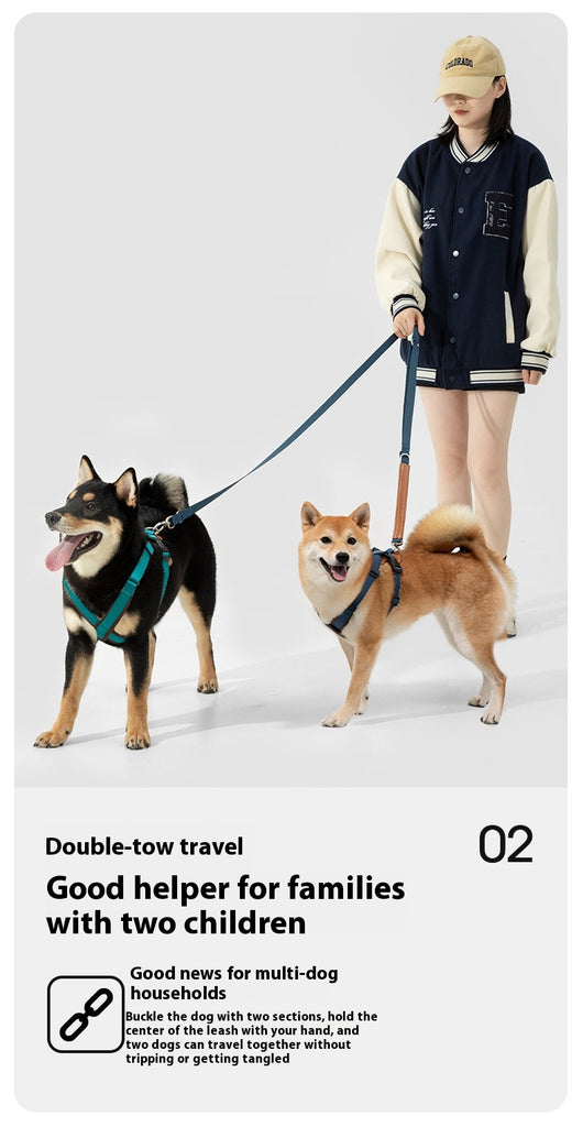 Cuerda Interactiva para Perros Corgi y Shiba Inu - Juguete de Tracción Doble - Image 10