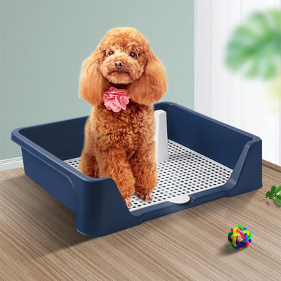 Orinal Elevado Antiaplastamiento para Perros Grandes - Image 13