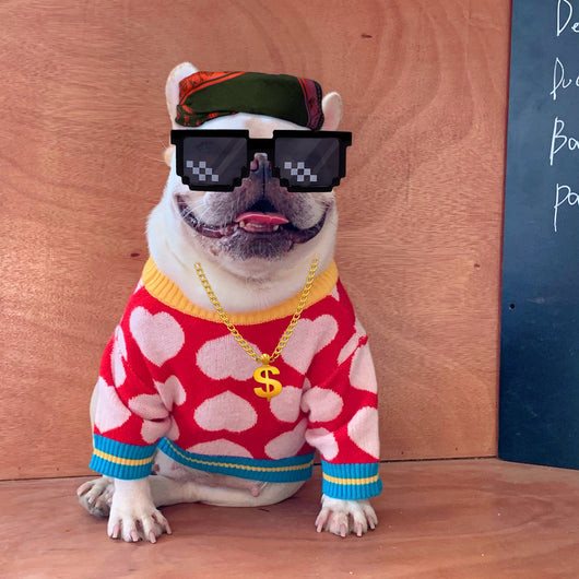 Suéter Tejido para Perros y Gatos - Diseño Rojo Otoño Invierno - Image 4