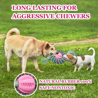 Juguete Masticable Interactivo para Perros - Nylon y Caucho Natural - Image 5
