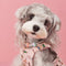 Adornos de Cuentas para Mascotas - Accesorios Decorativos Cóncavos para Perros
