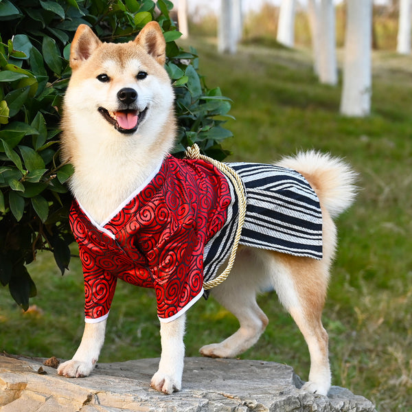Ropa Samurái Zephyr para Perros - Estilo y Comodidad
