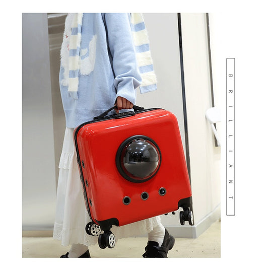 Mochila Transportín Cápsula Espacial para Gatos - Image 10