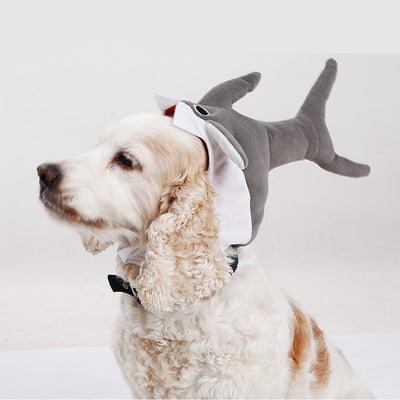 Gorro Tiburón para Mascotas - Disfraz Adorable de Transformación - Image 8