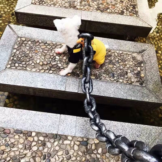 Correa para Perro Estilo Influencer - Accesorio Viral para Videos y Paseos - Image 3