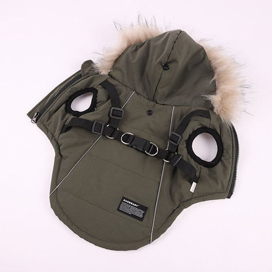 Traje Elegante para Perro con Chaleco y Gorro de Pelaje - Image 11