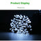 Blanco 22 M 200 Lights