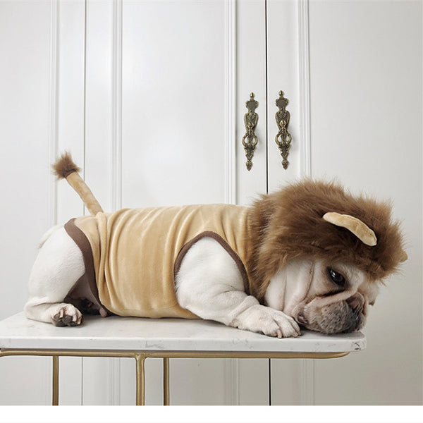 Disfraz de León para Mascotas - Ropa Halloween para Perros y Gatos