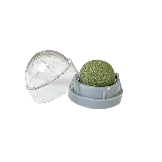 Juguete Interactivo de Menta Gatuna con Limpieza Dental para Gatos - Image 10