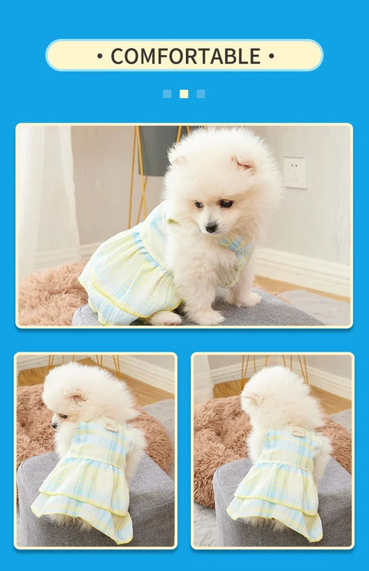 Vestidos Princesa para Perros Pequeños y Medianos - Ropa Elegante para Mascotas - Image 11