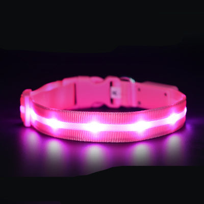 Collar Luminoso USB para Mascotas - Seguridad Nocturna Recargable - Image 5