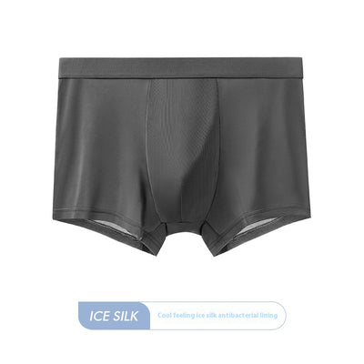 Calzoncillos Antibacterianos de Seda Helada para Hombre - Comfort 5A - Image 11