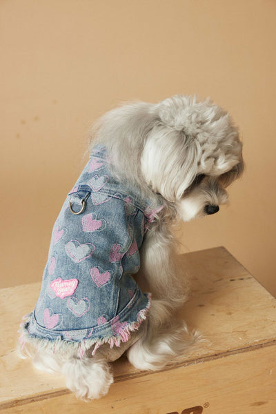 Chaleco Denim sin Mangas para Perros - Diseño Desgastado Love - Image 6