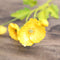 3 Flowers And 1 Bud Amarillo