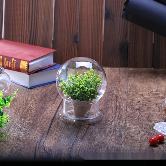 Capa Protetora Transparente para Bonsai e Paisagens em Miniatura