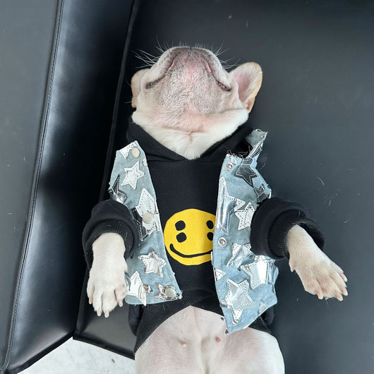 Chaleco Denim Fresco para Mascotas - Perros y Gatos Verano - Image 21