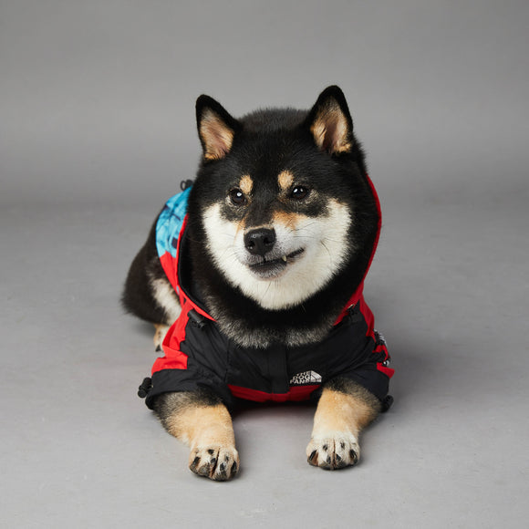 Chaqueta Impermeable y Cortavientos para Perros