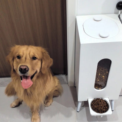 Comedero de Madera para Mascotas Gran Capacidad - Image 3