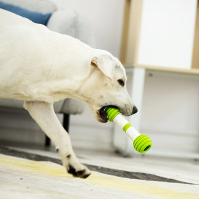 Juguete Automático para Perros Guiwei Happy Bone - Image 7
