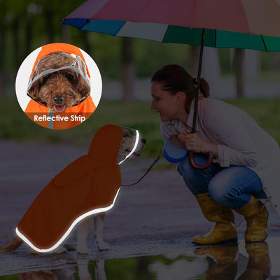 Impermeable para Perros Pequeños con Capucha Transparente - Image 10