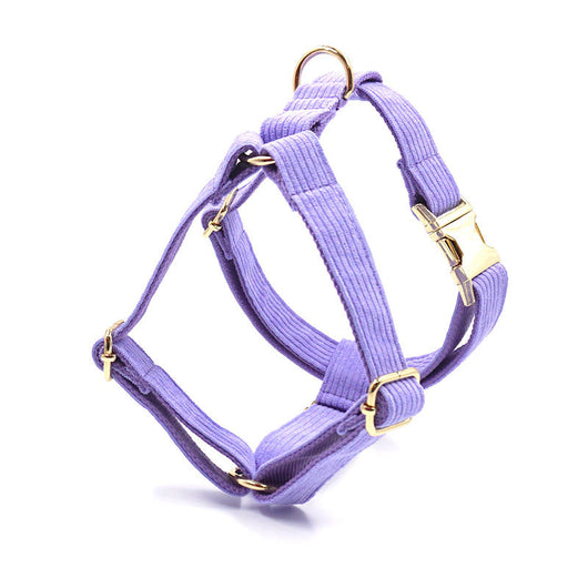 Chaleco de Pecho para Perro en Pana con Letras Láser - Image 9