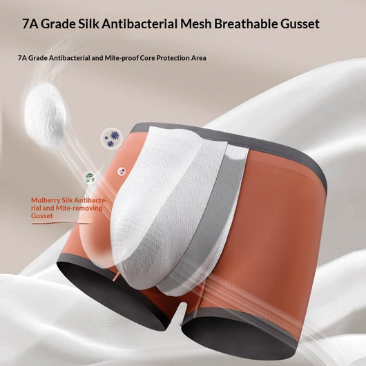 Calzoncillos Boxer Briefs sin Costuras con Tecnología Antibacterial - Image 17
